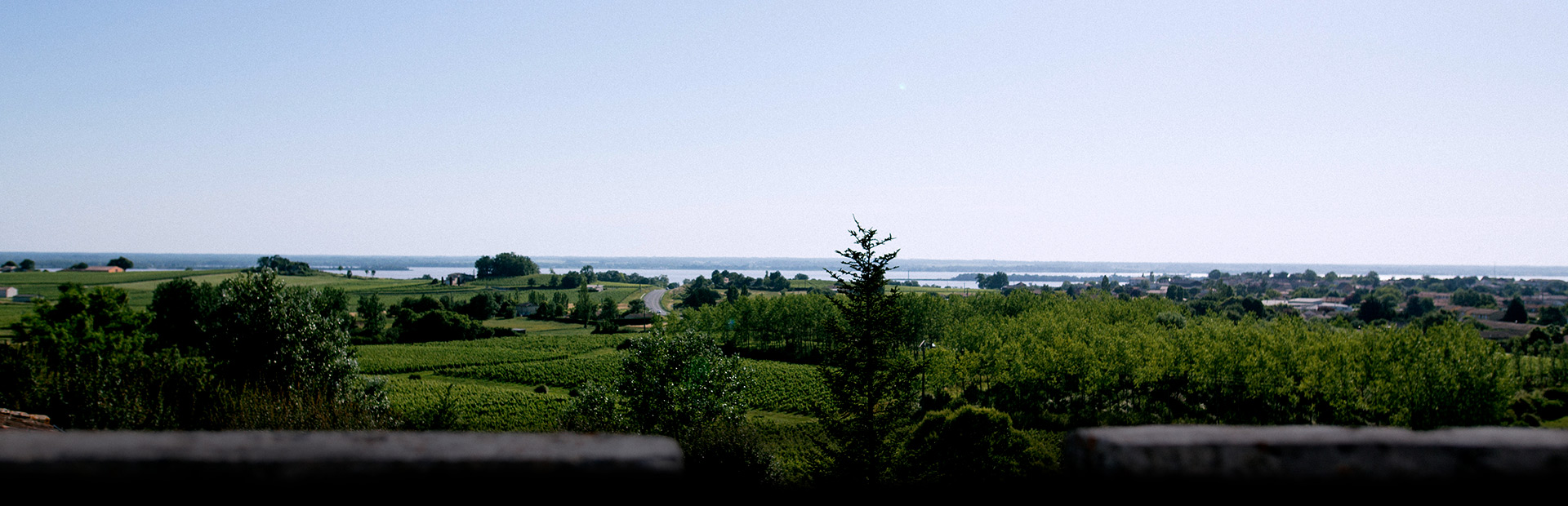 Cuvées vignobles hubert blaye, vins biodynamiques bordeaux