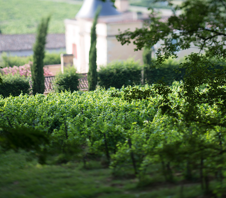Cuvées vignobles Hubert blaye, vins biodynamiques bordeaux